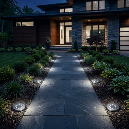 Solar Pathway Light